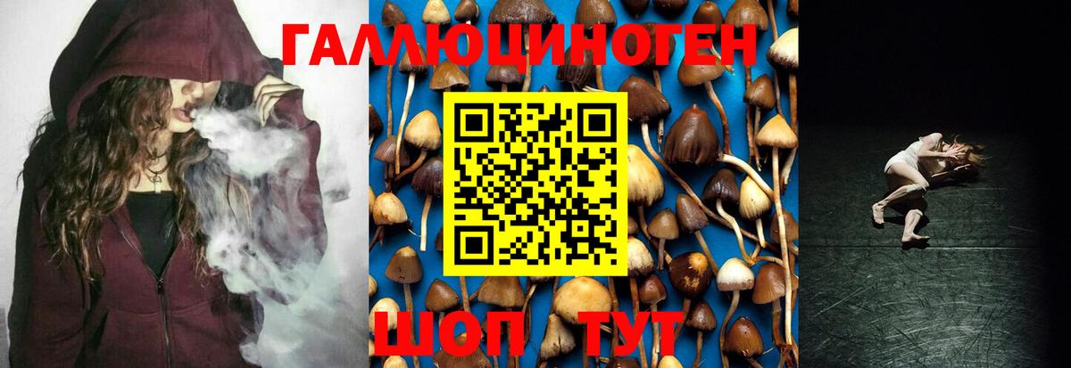 Сорочинск  Псилоцибиновые грибы Psilocybe  Вход с VPN 
