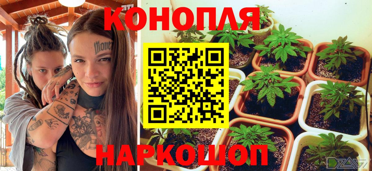 Бошки марихуана ГИДРОПОН Сорочинск